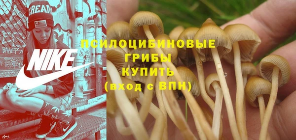 молекула духа Беломорск