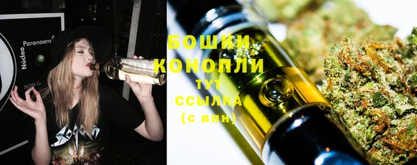 молекула духа Беломорск