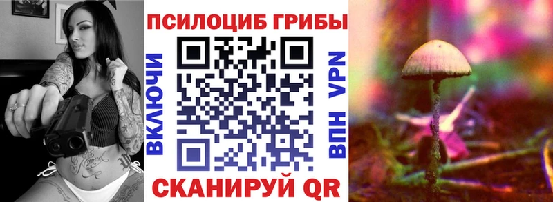 где купить наркотик  Малмыж  блэк спрут сайт  Галлюциногенные грибы прущие грибы 